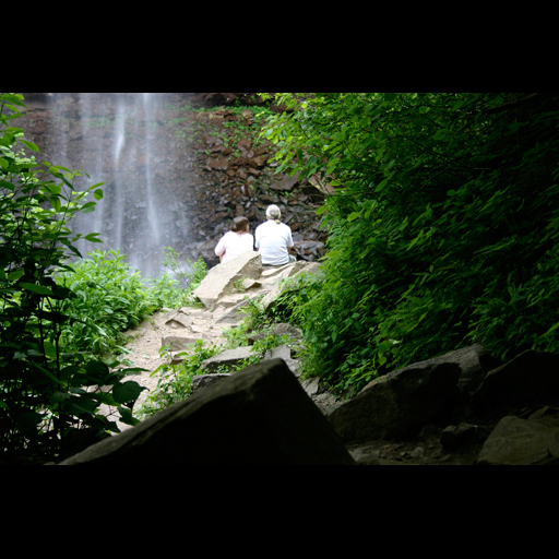 Couple at Fall Creek Falls