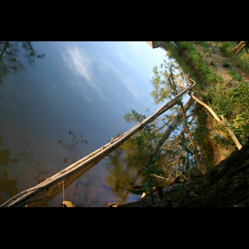 Reflection at Thrid Creek